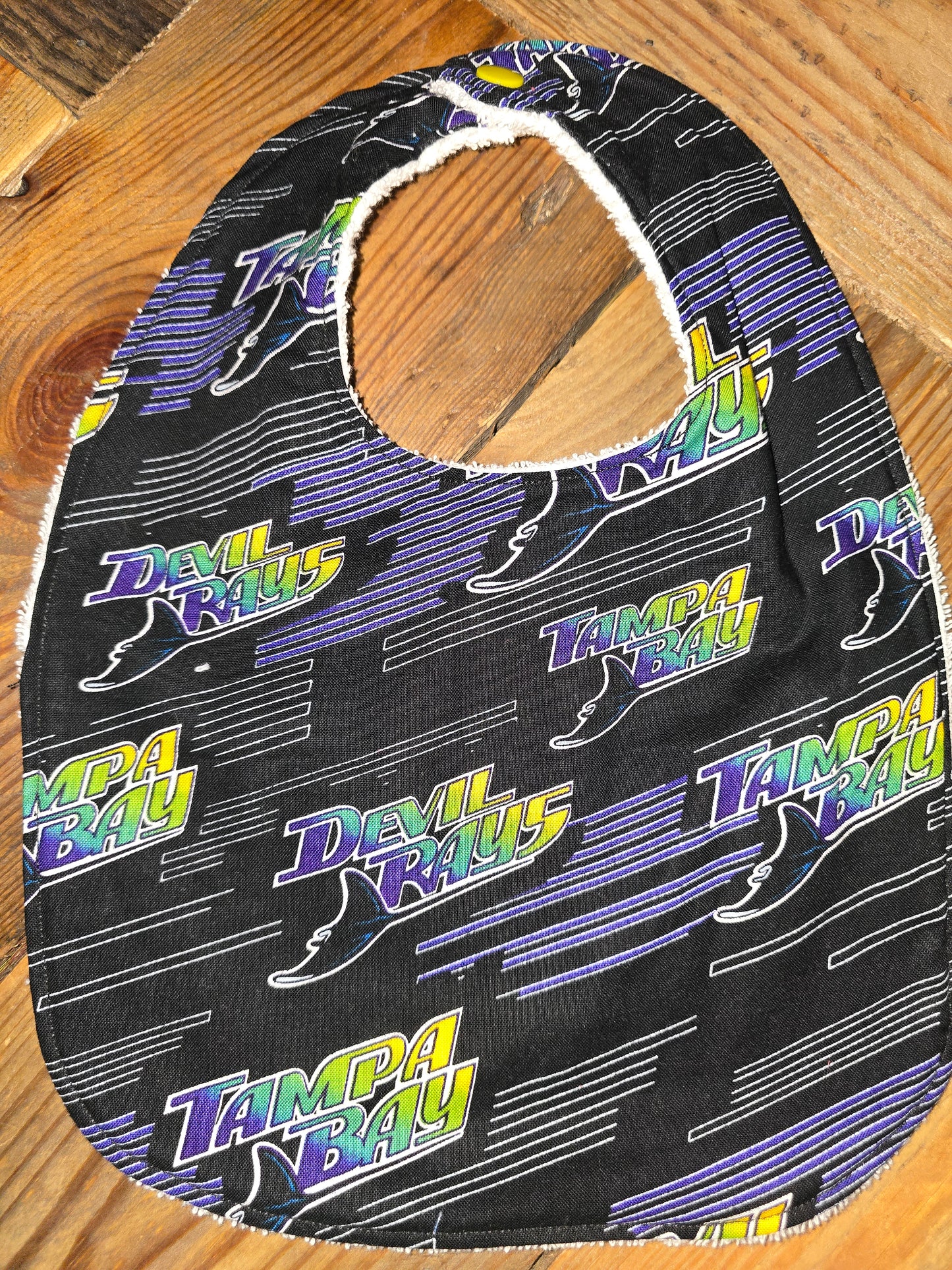 Devil Rays Baby Bib