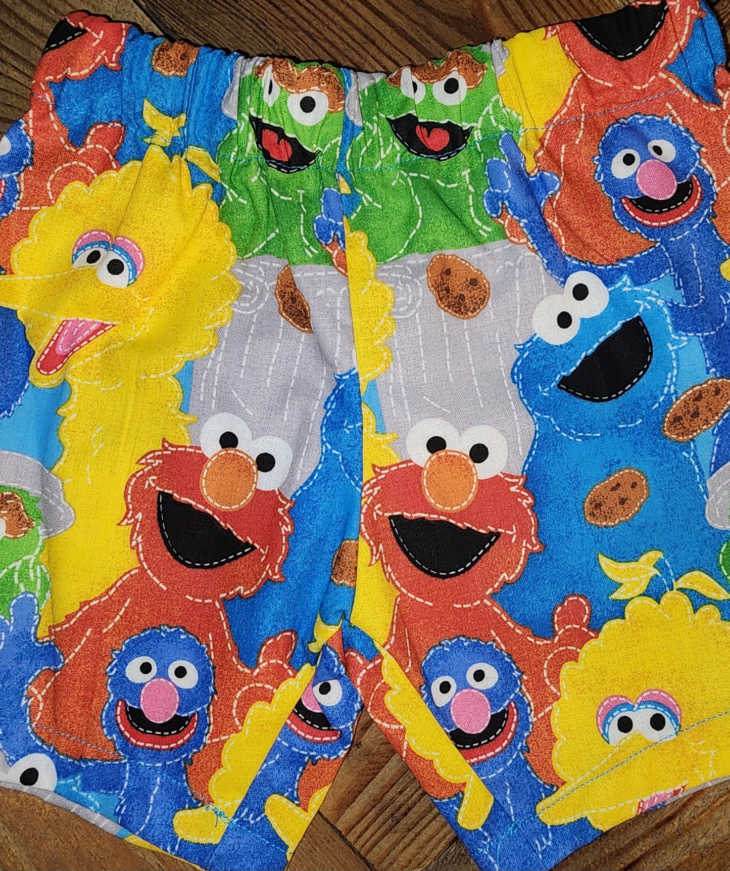Sesame Street Size 2 Shorts