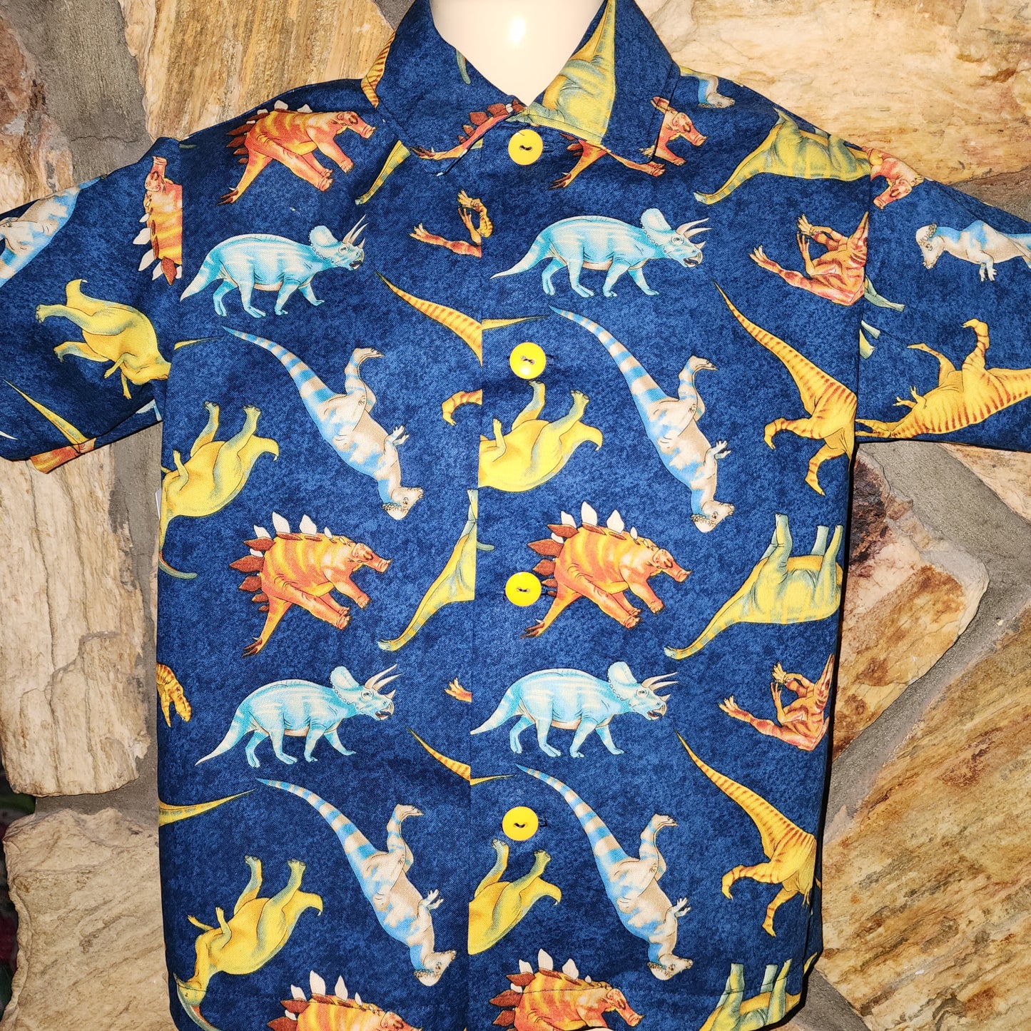 Dinosuar Shirt