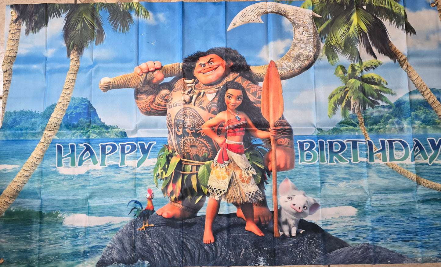 Moana Birthday Hat and Party Supplies and Banner