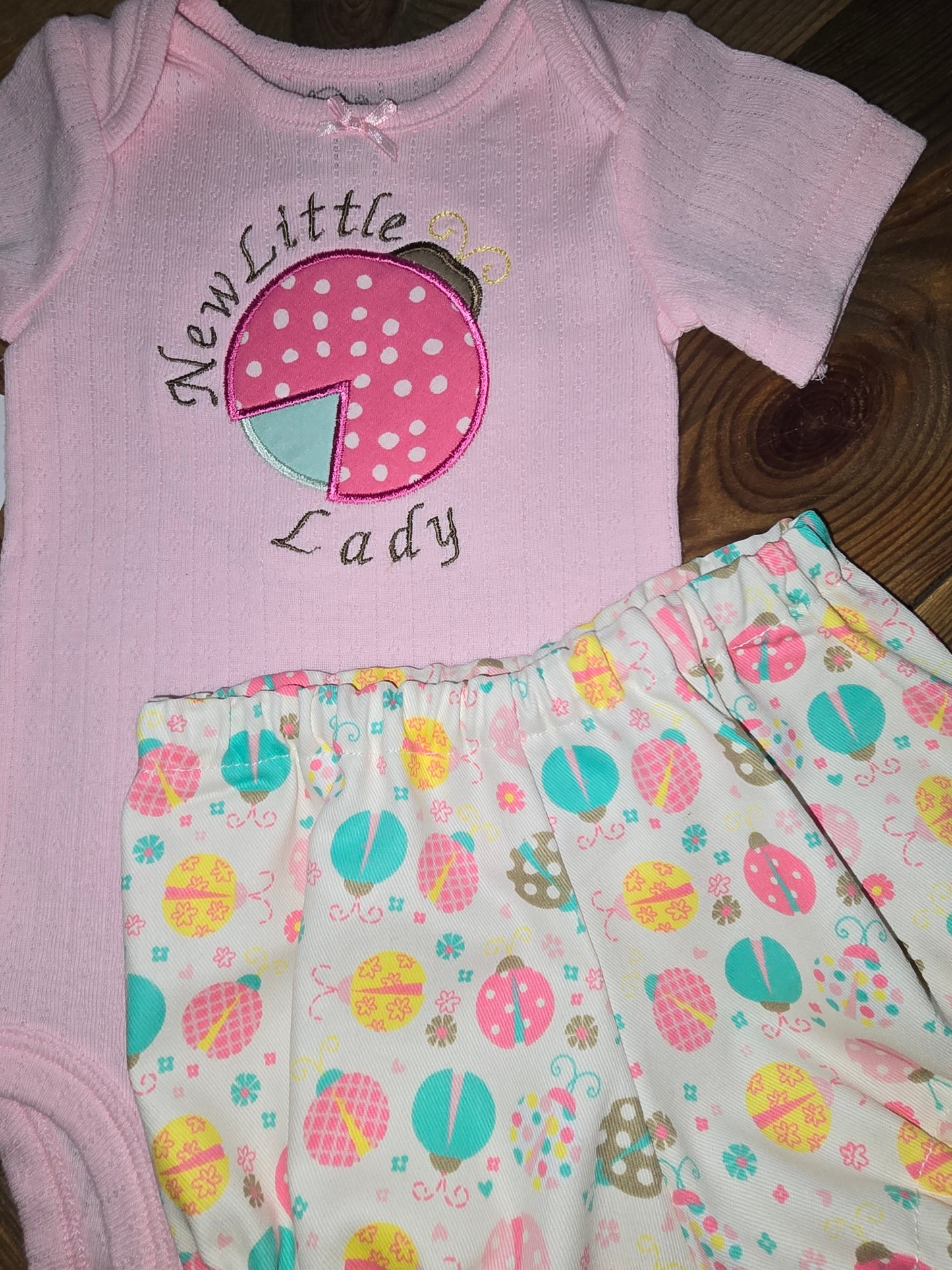 New Little Lady Two Piece Ladybug Set