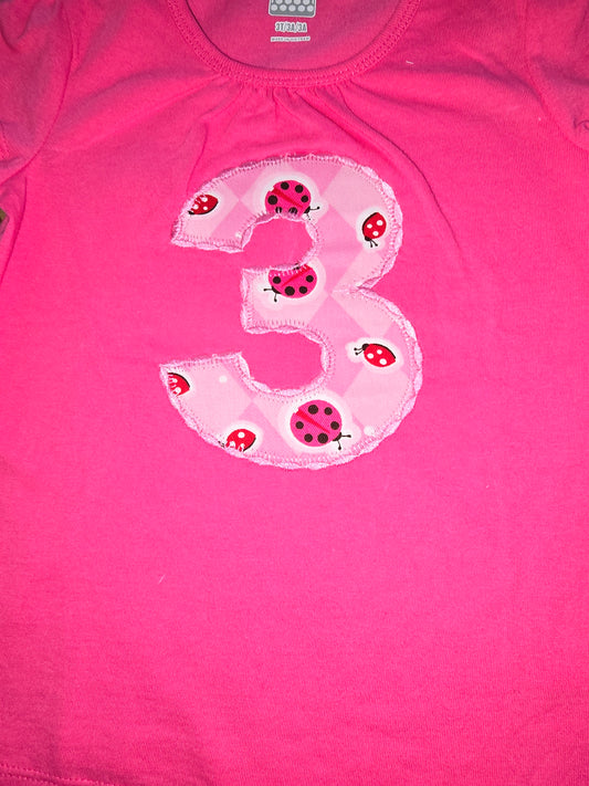 Ladybug Third Birthday Shirt Size 3