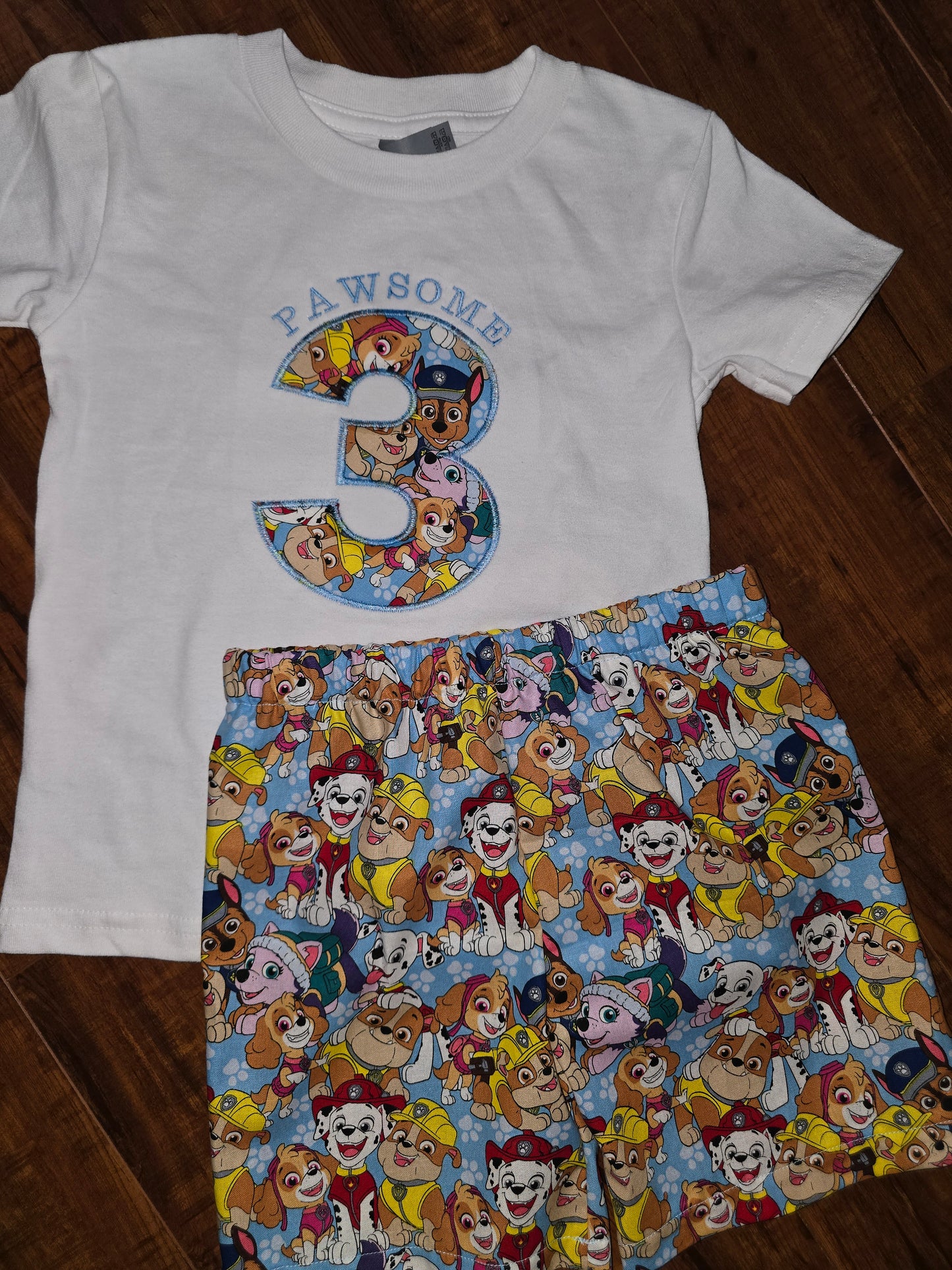 Paw Patrol Pawsome Custom Made Birthday Outfit
