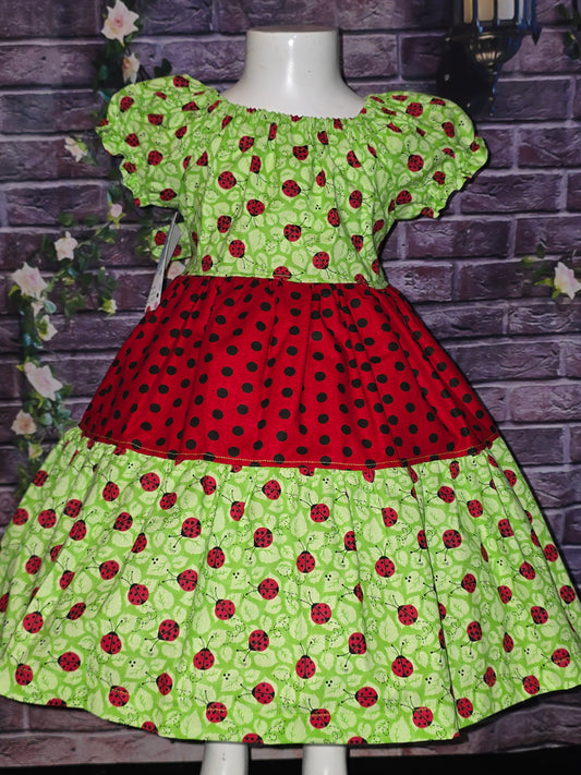 Little Lady Bug Size 3 Dress