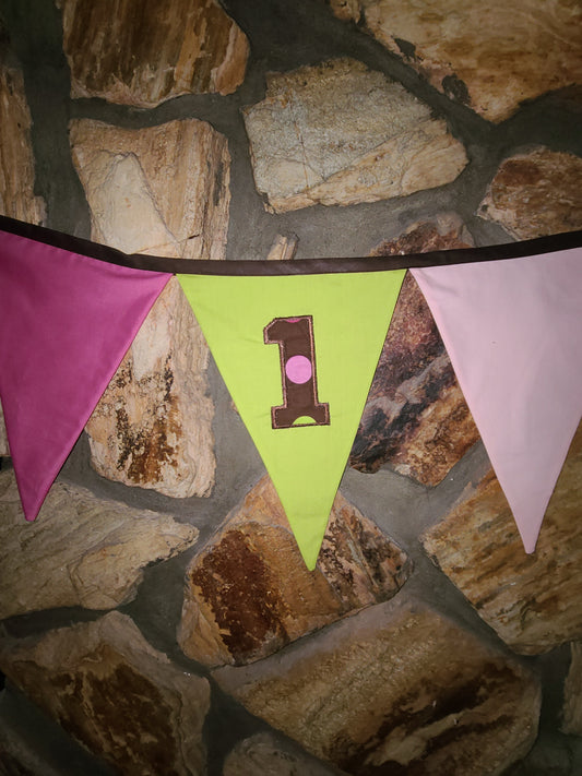 1st Birthday Green, Pink, and Brown High Chairchair  Birthday Banner